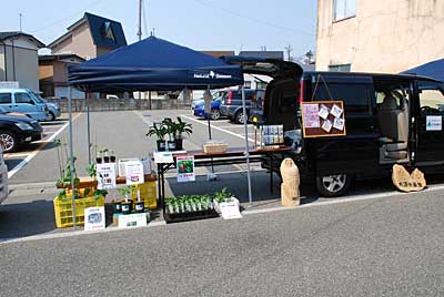 今回は野菜苗中心の出品となりました。