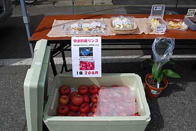 雪室貯蔵のサンフジの出品もなんとか間に合いました。