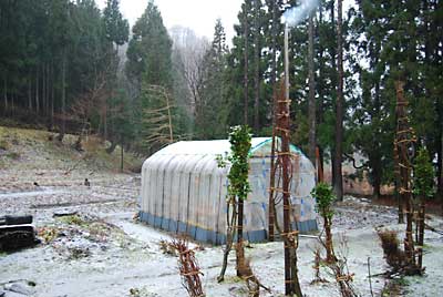 今日は、大荒れの天気が続いています。