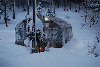 ハウスもかなり雪で埋まってしまいました。