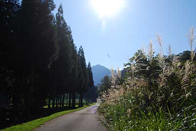 今日は朝から快晴です。