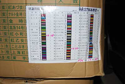 べにはるか１５０本、安納３号３００本