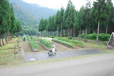 この土日で、なんとか猿よけアミを設置したいと思っています。