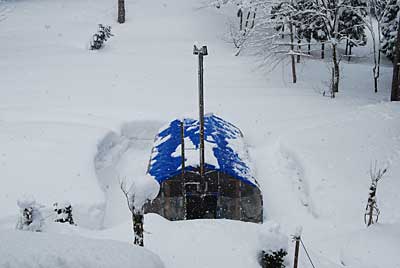 また真冬に戻ったように雪が降りました。