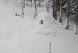 子供たちは、この雪にも負けず元気に遊んでいます