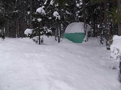 雪室の様子を杉林まで見に行ってきました。