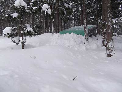 屋根の除雪完了しました。