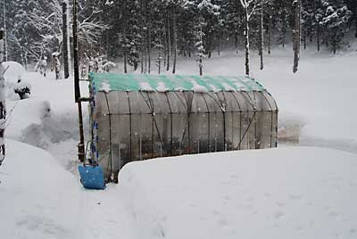 久しぶりにハウス回りの除雪をしました。