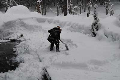 ウチのおばあちゃんの元気の秘訣は、毎日の除雪です。