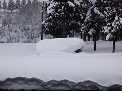 午後から農具小屋の除雪に行ってきました。