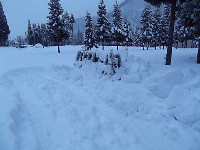 雪が締まってきて、ユンボの移動も大変楽になりました。