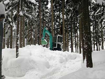 この雪山も利用出来ないか思案中です。