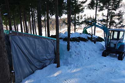 杉の葉っぱの上にユンボで雪を少しばかり敷き詰めました。