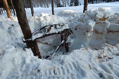 枝打ちした杉の枝を格納するために薪棚を除雪しました。