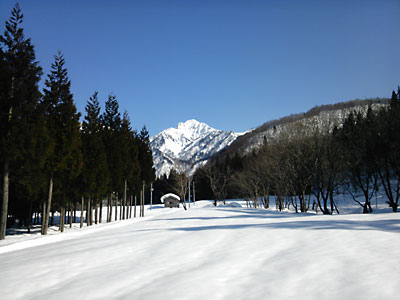 今日も春のように暖かくて良い天気です。