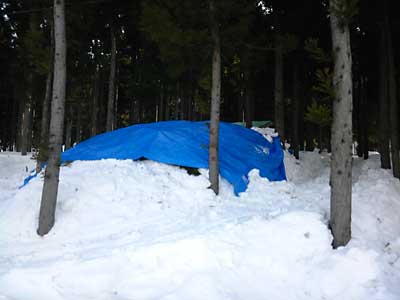 とりあえずブルーシートを被せて太陽と雨対策をしました。