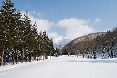 お天気が回復して、大源太山が顔を見せてくれました。