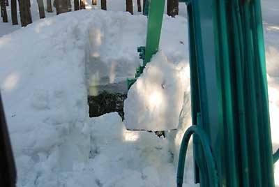 杉の葉っぱの上には、柔らかめの雪をかぶせました。