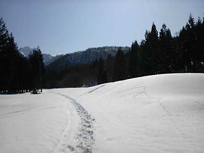 今日も良いお天気です。