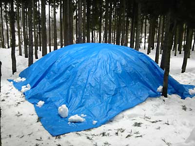 雨っぽかったので、ブルーシートで覆いました。