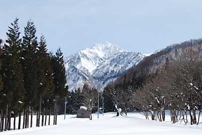 今日も初春のように暖かい一日になりました。