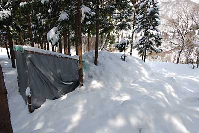 雪室１号は、こんな様子です。