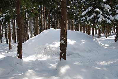 雪室２号は、こんな様子になっています。