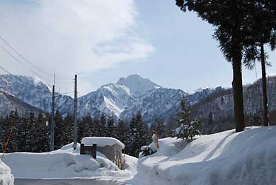 杉林まで行って来ました。