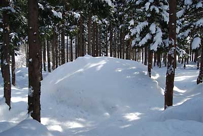 雪室２号も雪が沢山積もっていました。