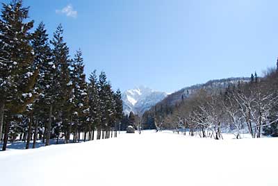 今日は快晴になりました。