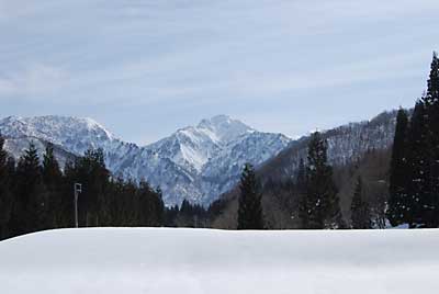 ありがたいことに、今日も良いお天気でした。