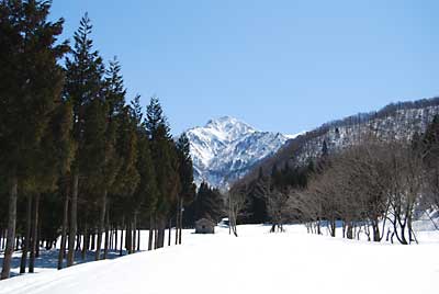 朝から、お天気が良くてとっても暖かく除雪日和になりました。