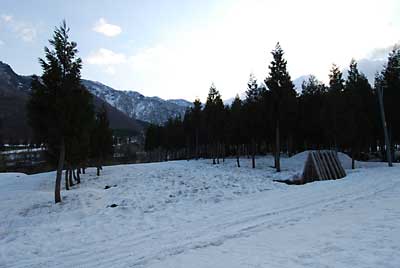 朝、農園の雪の様子をみてきました。