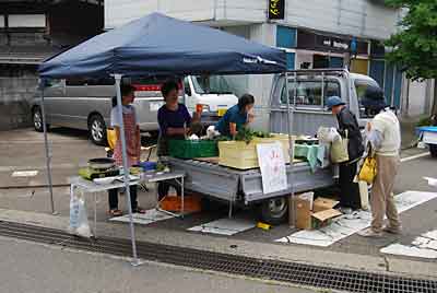 やはり旬の山菜を販売していました。