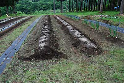 あまり分かりませんが、除草が終了しました。