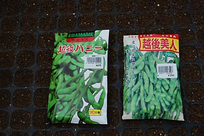 品種は茶豆の越後ハニー（砂糖エダマメ）、越後美人の２品種です。