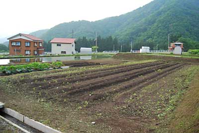 夕方まで草刈り機で除草三昧でした。