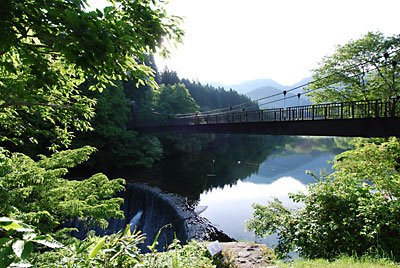 堰堤のまわりの木々の緑が濃くなってきました。