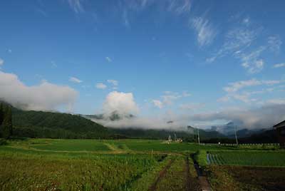 久しぶりの青空がうれしいです。