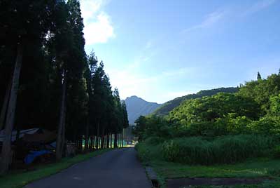 久しぶりに朝から青空が顔を見せてくれました。