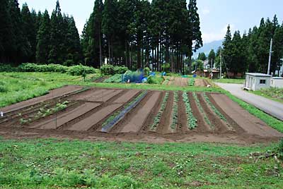 暑くて、クラクラしてきましたが、なんとか終了しました。