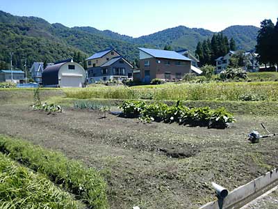 なんとかきれいになりました。