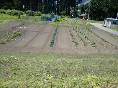 猿用？さつまいも畑のまわりも草刈をしました。