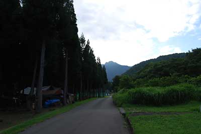 今朝は一気に秋が来たような感じです。