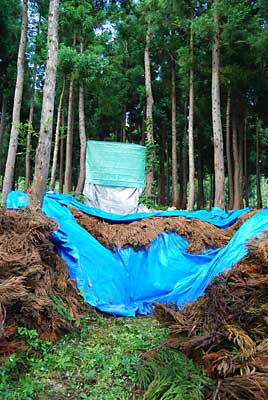 ８月上旬までは、溶けずに行けそうな感じです。