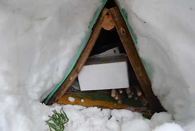 さっそく雪室１号の中の保管庫を開けてみました。