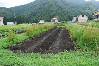 草刈前です。