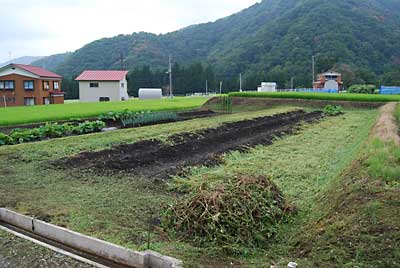 草刈完了しました。