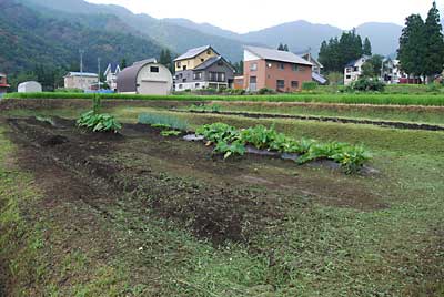 ついでにとなりのネギを植えてある畑も草刈しました。