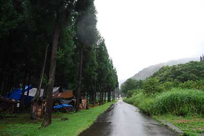 今日は、今朝から雨でした。